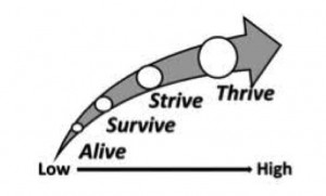 Thrive over Survive