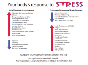 stress-response